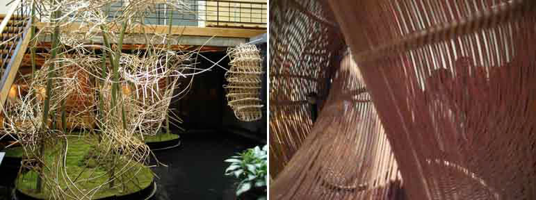 bamboo_2uplow.jpg