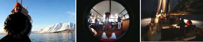 capefarewell_3-up.jpg