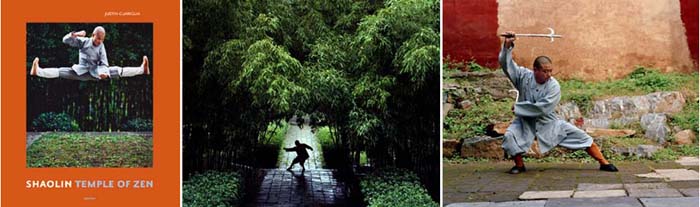 shaolin_3_up.jpg