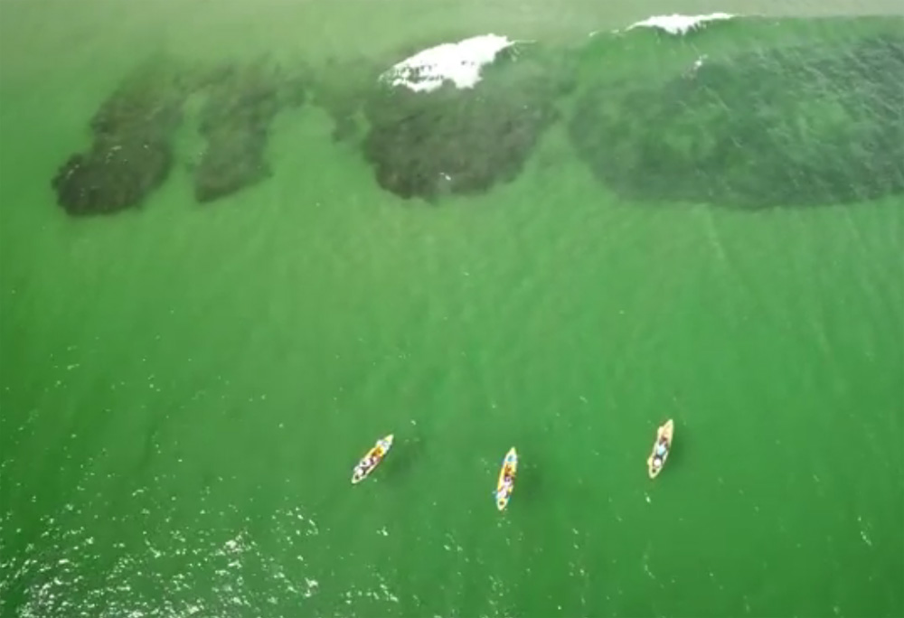 kayak