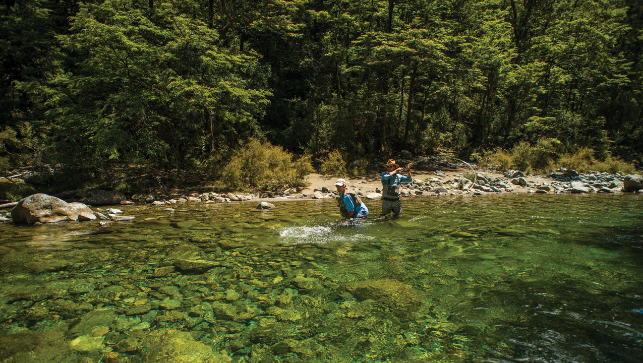 newzealand_1