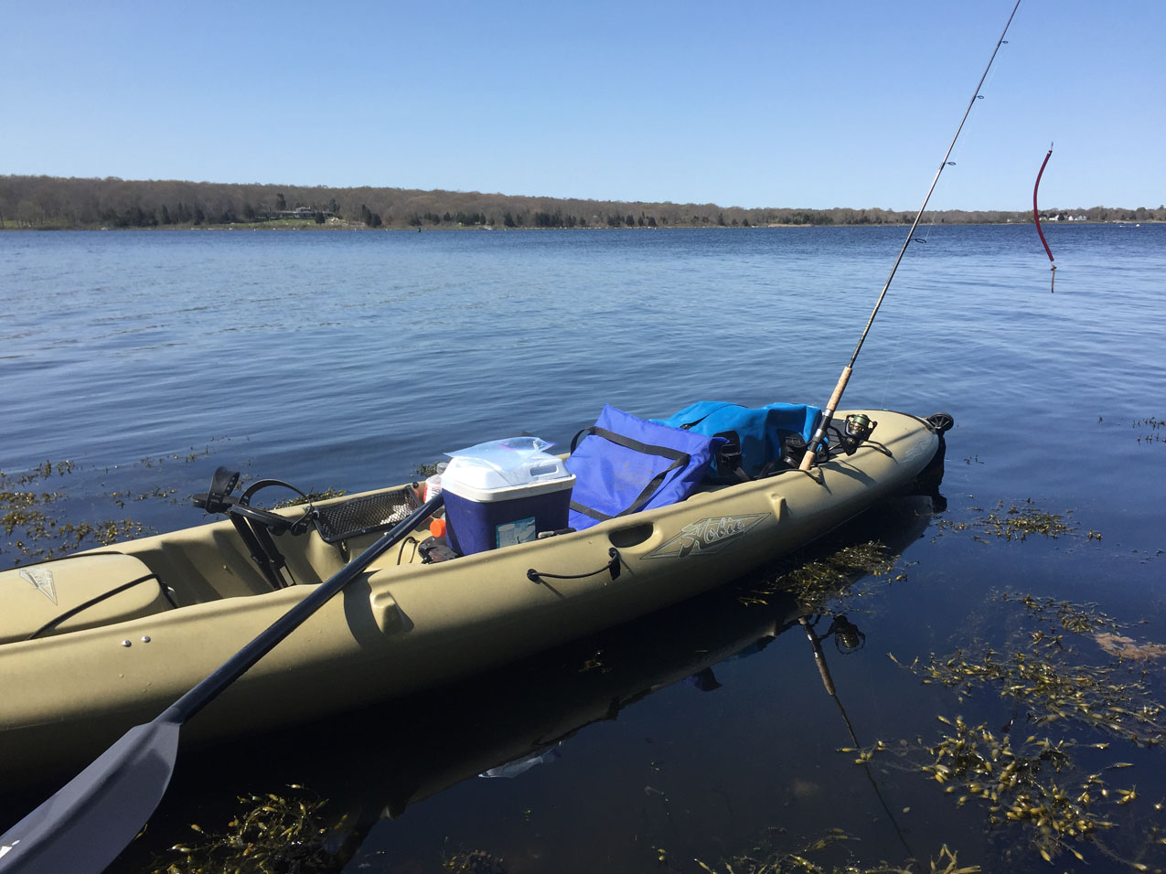 kayak1