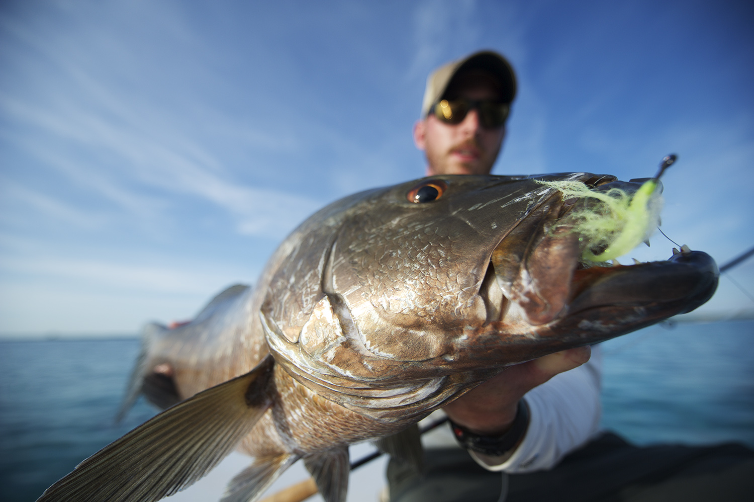 cubera snapper I