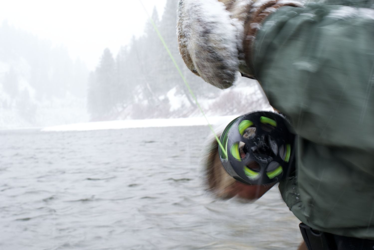Anglers Journal Steelhead  2437