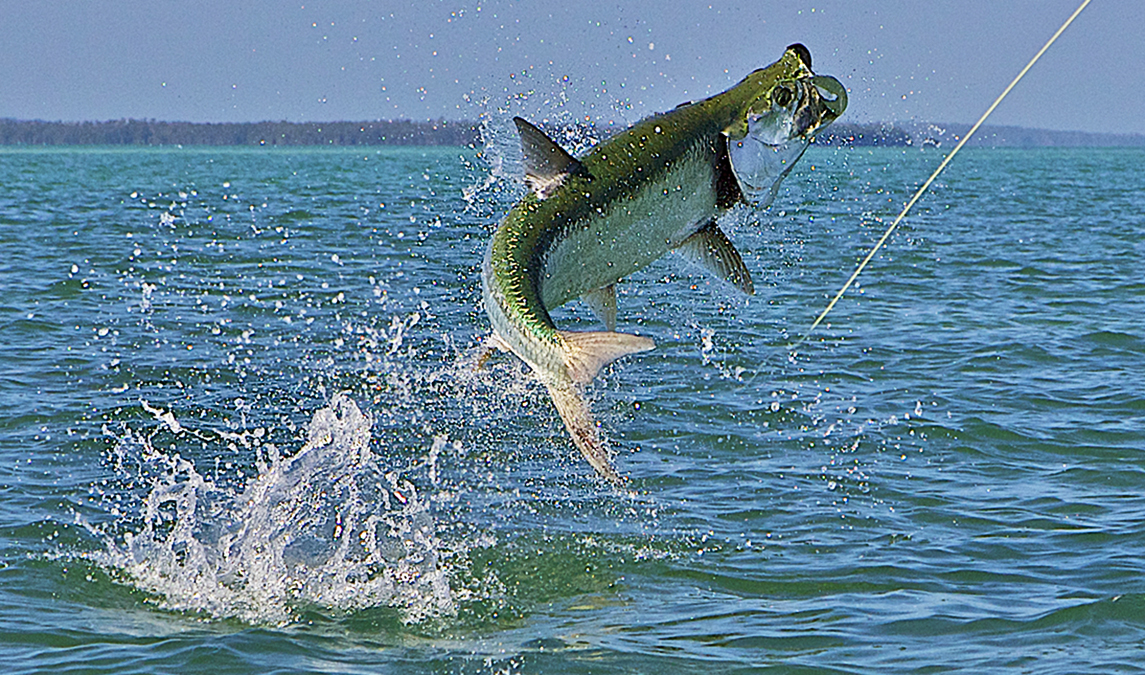 Swimming Through Air