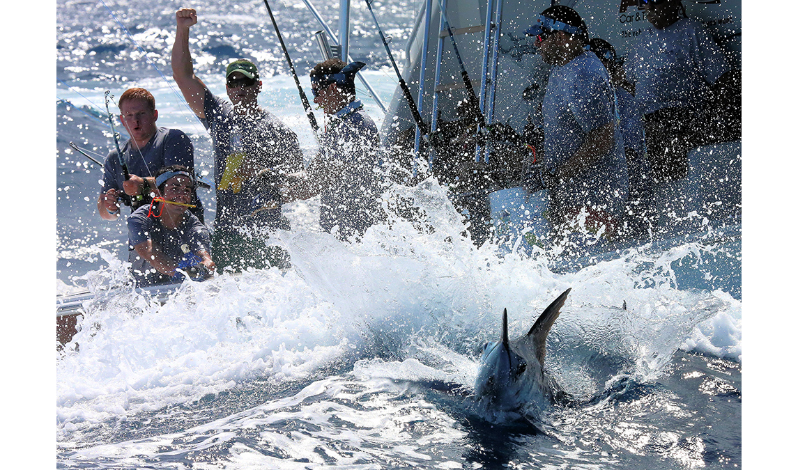 Things can happen fast with a big fish near the boat. The best crews have the drill down cold.