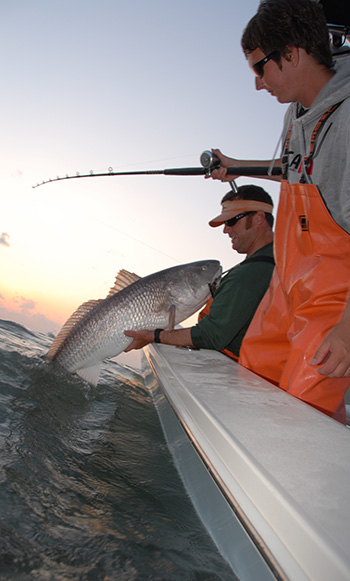 Red Drum Delirium