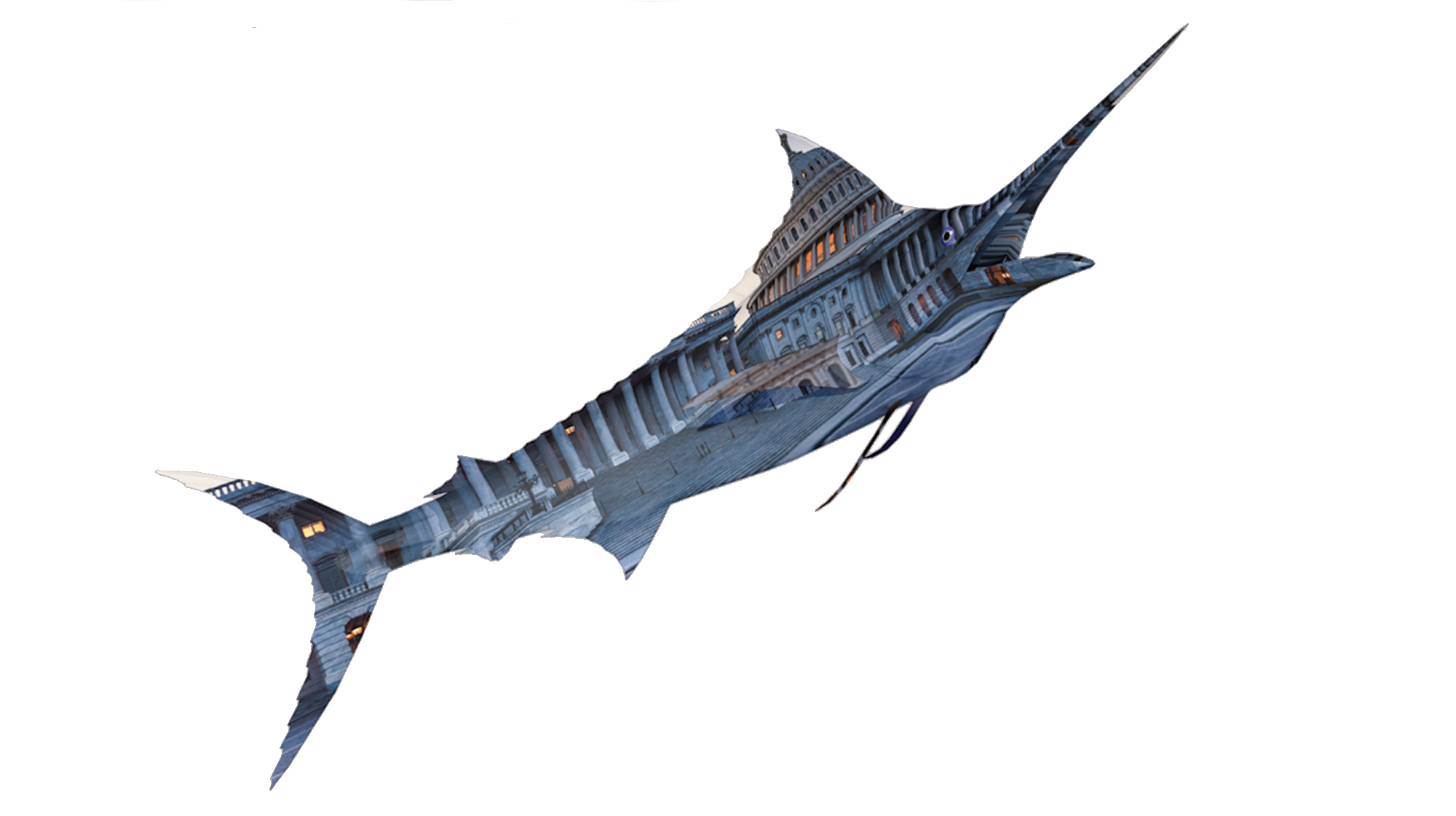 prm-capital-marlin-1a