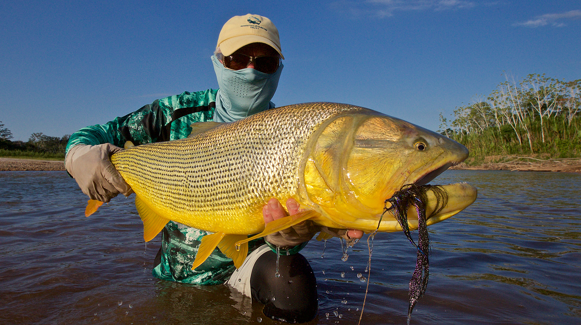 prm-golden-fish