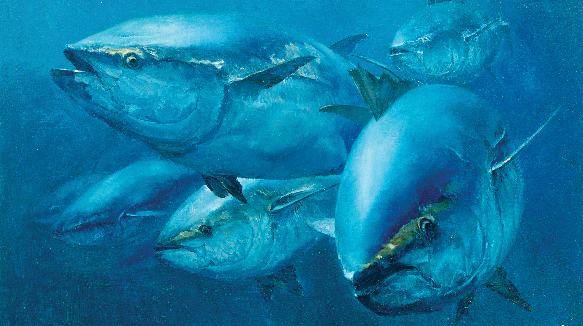 prm-bluefin28