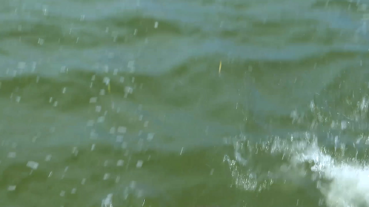 AJTV_302_ISLAMORADA SHARKS_Promo