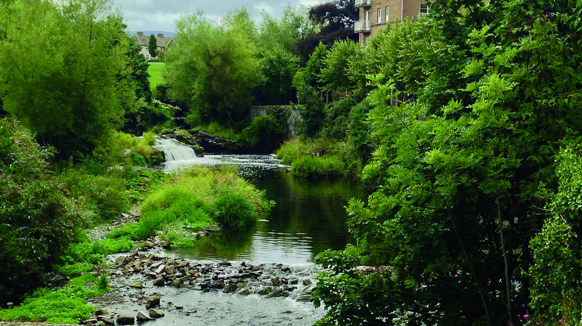 prm-dodder