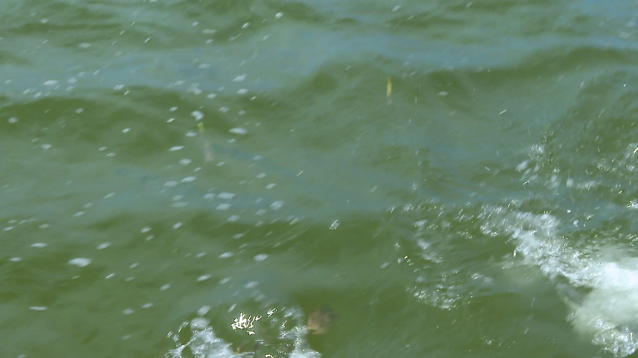 AJTV_Islamorada_Promo