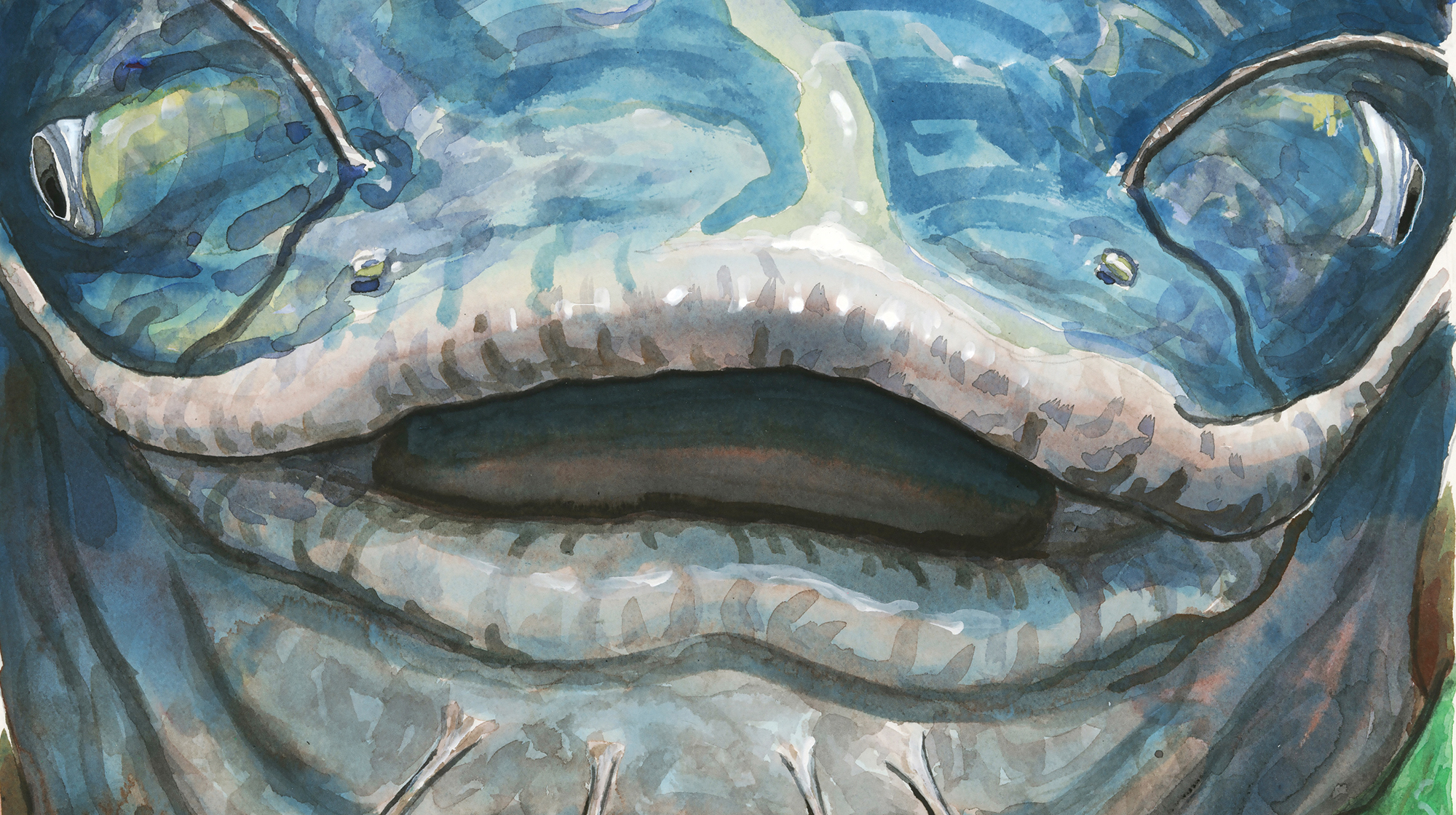 prm-fish-story