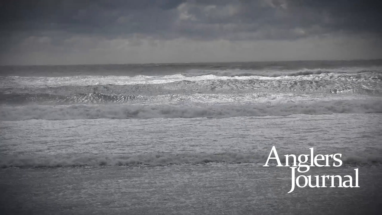 AJ-Fall-2019-preview
