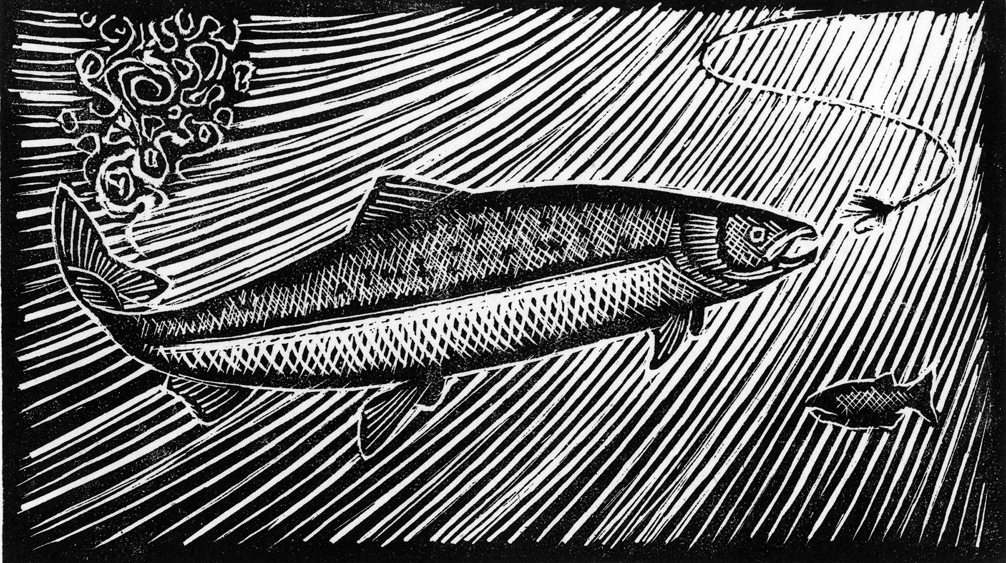 prm-Salmon-Rising