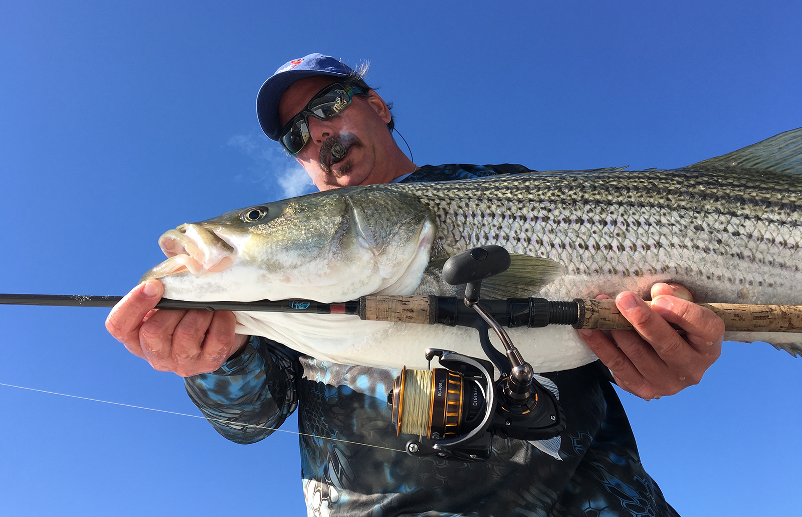 Raymarine-Frank-C-withBass
