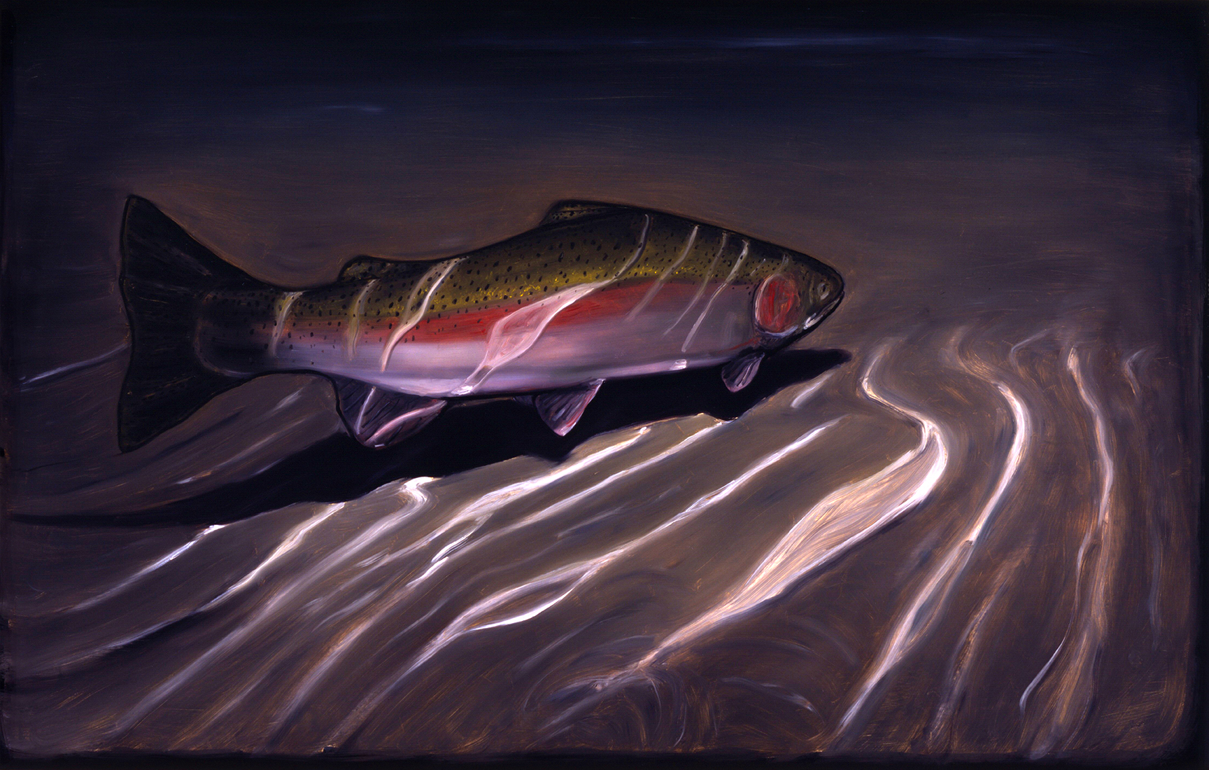 alberto rey - steelhead 1