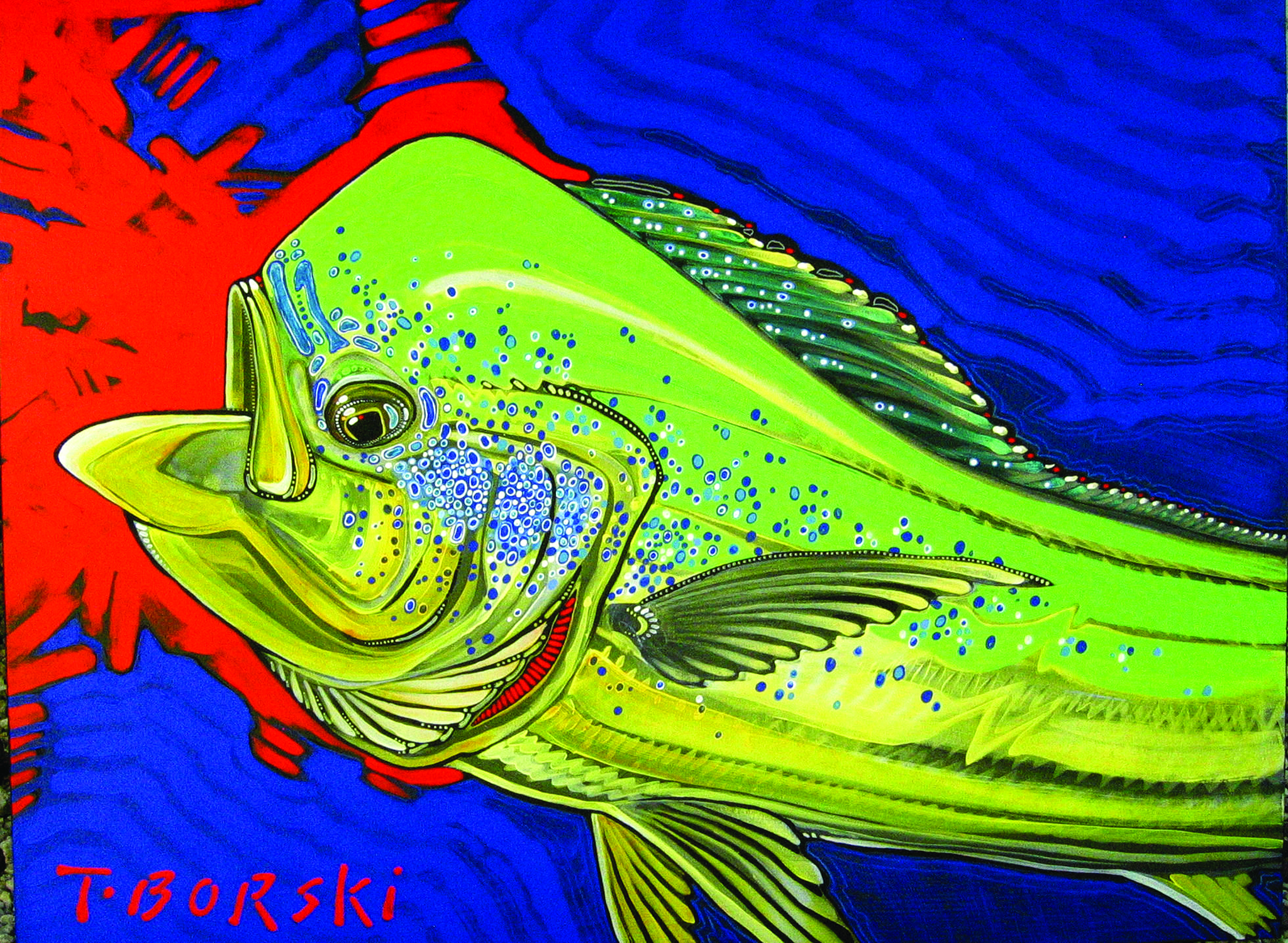 Anglers journal mahi mahi[1]