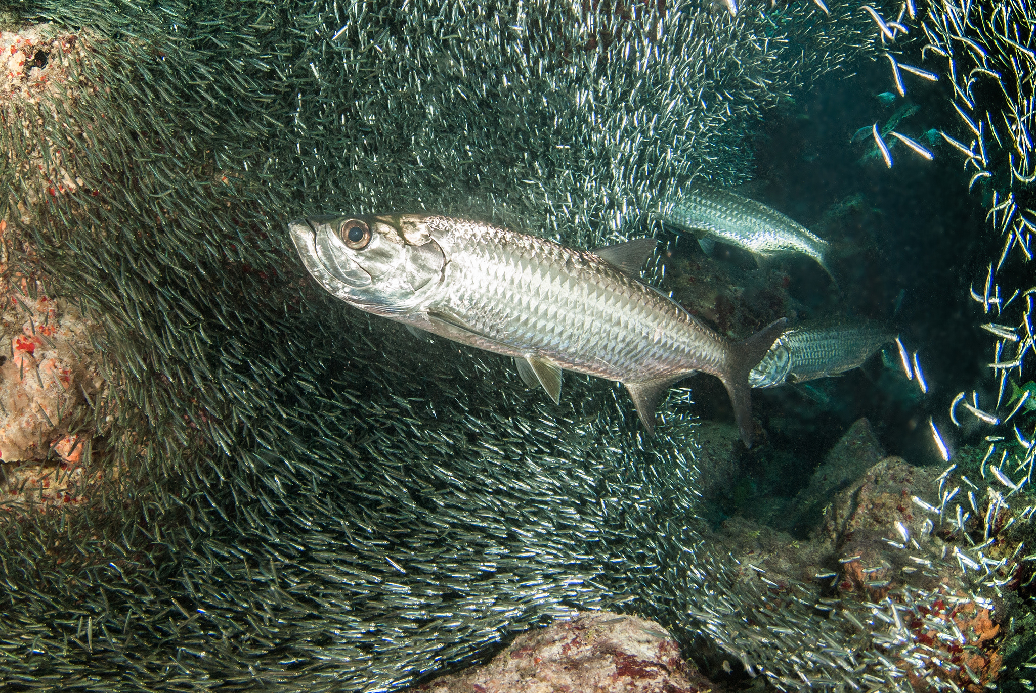 AdobeStock_281169282