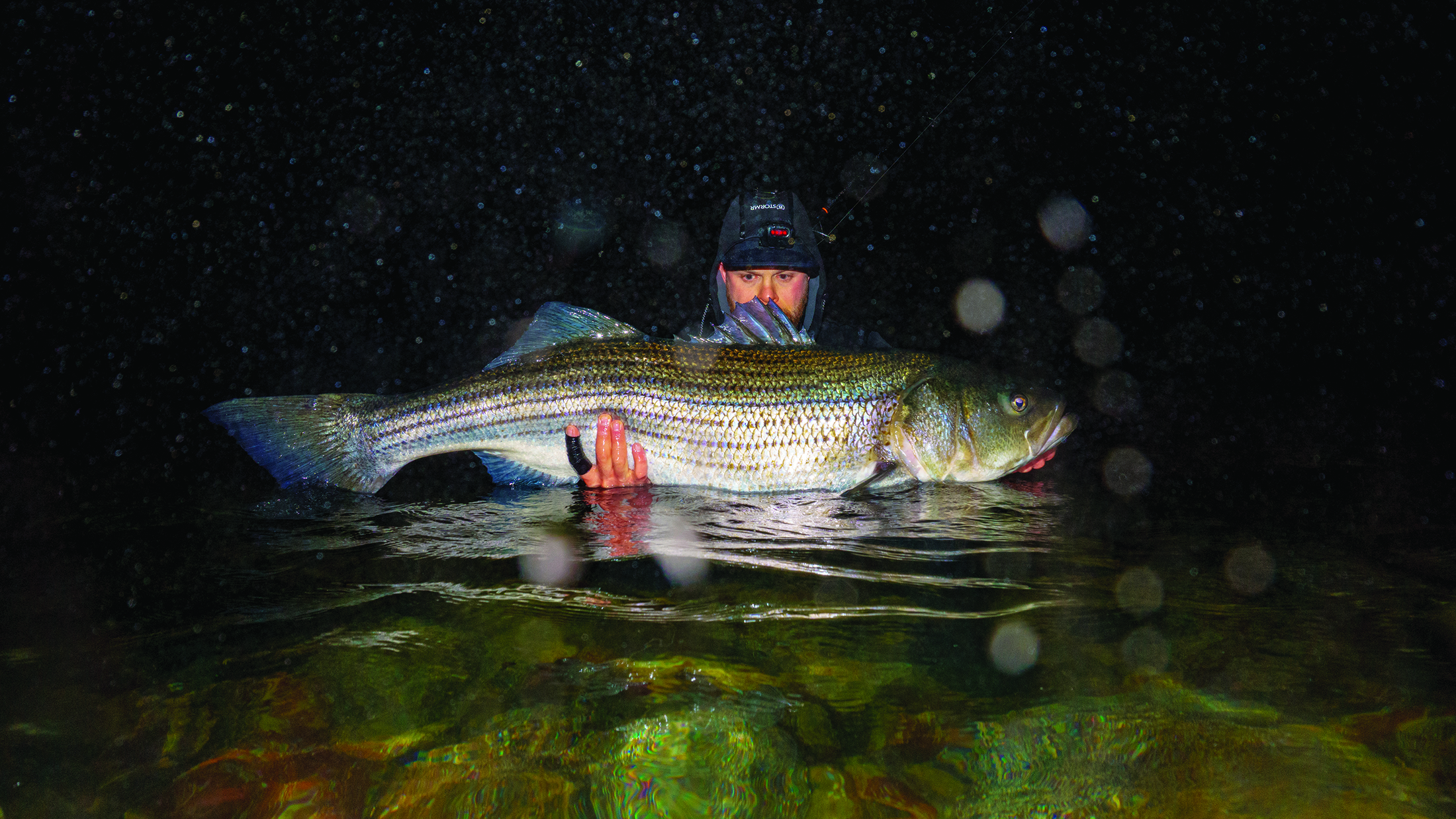 Anglers Journal_Bizzarro_44