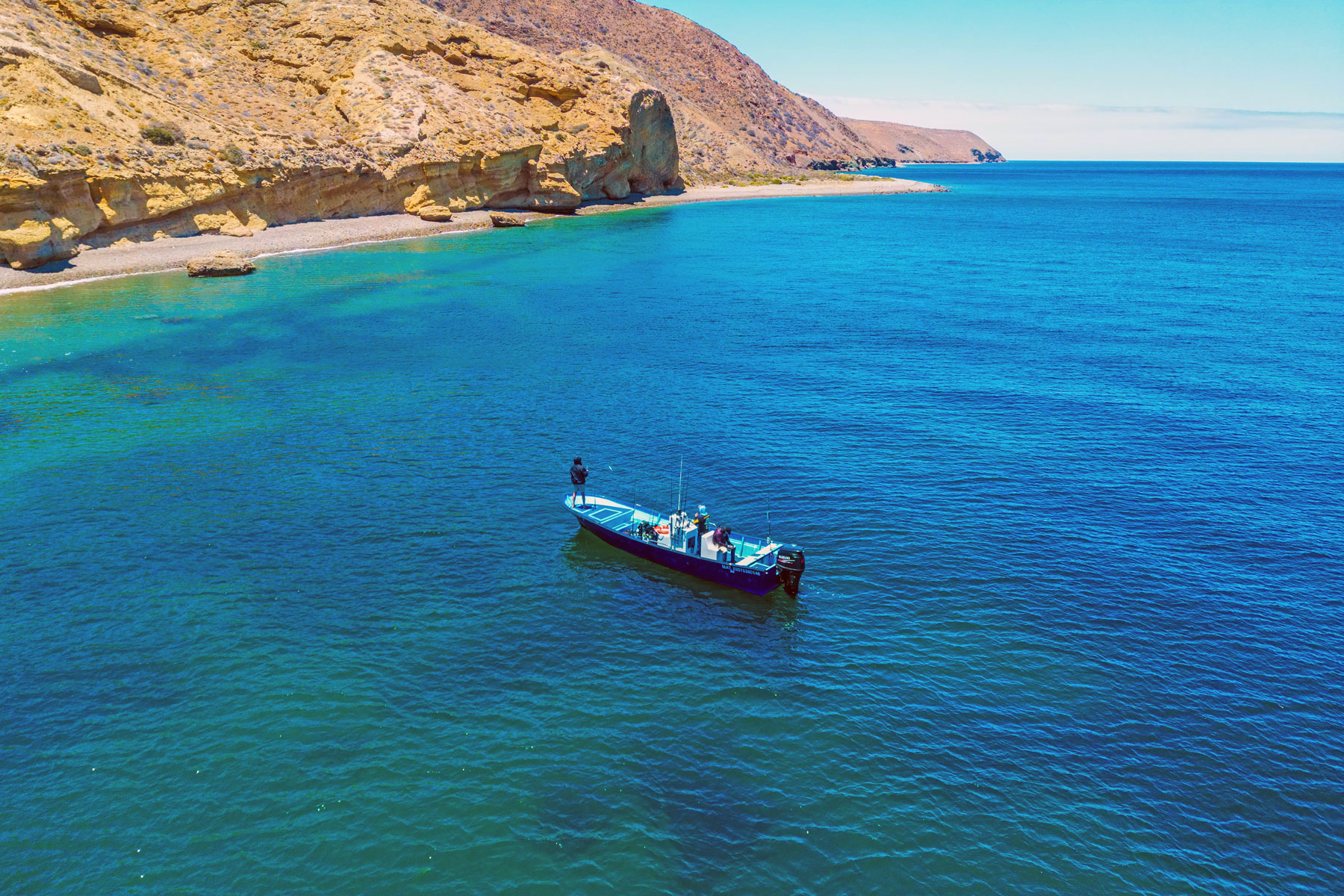 cedros1