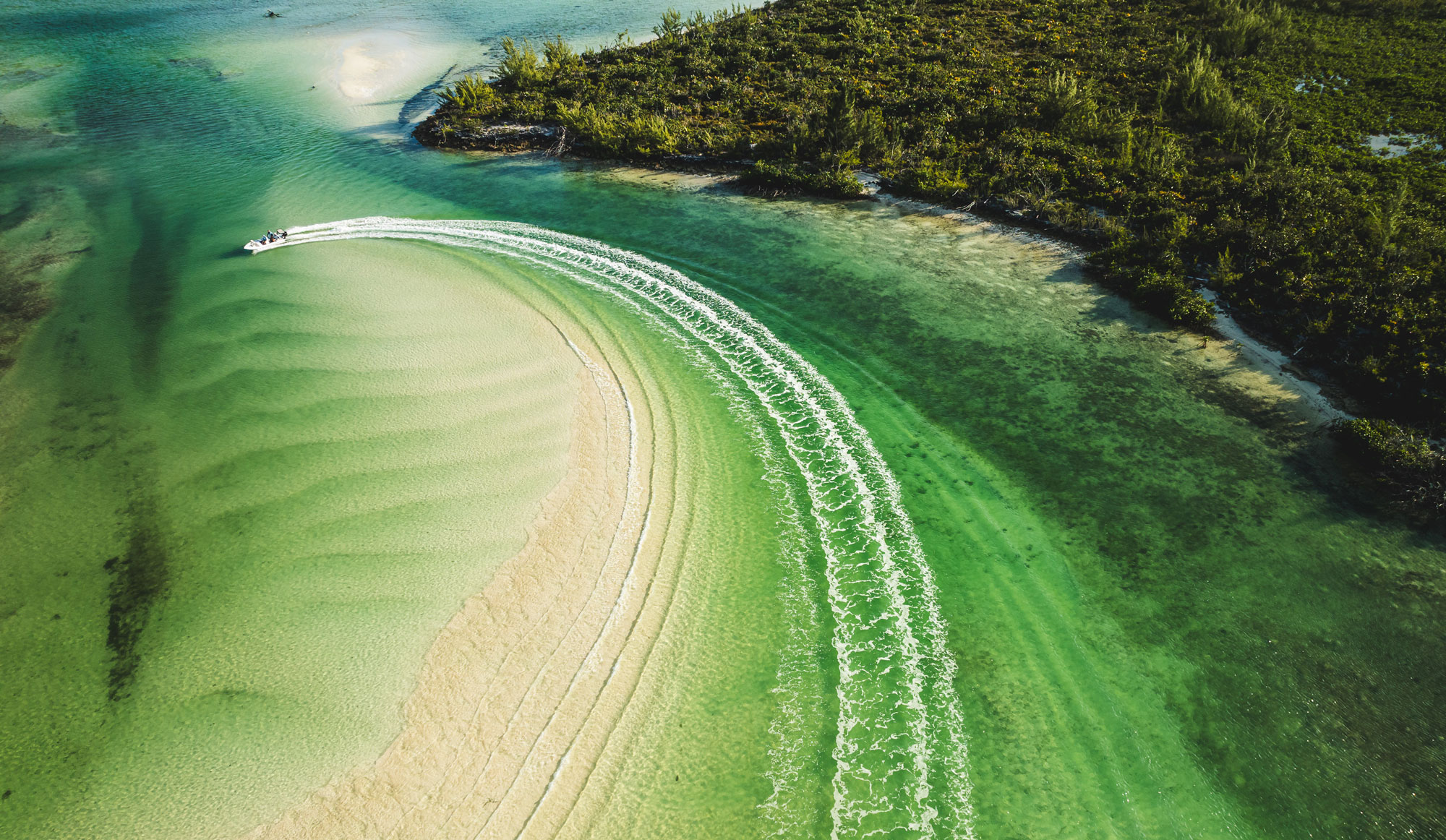 Abaco1