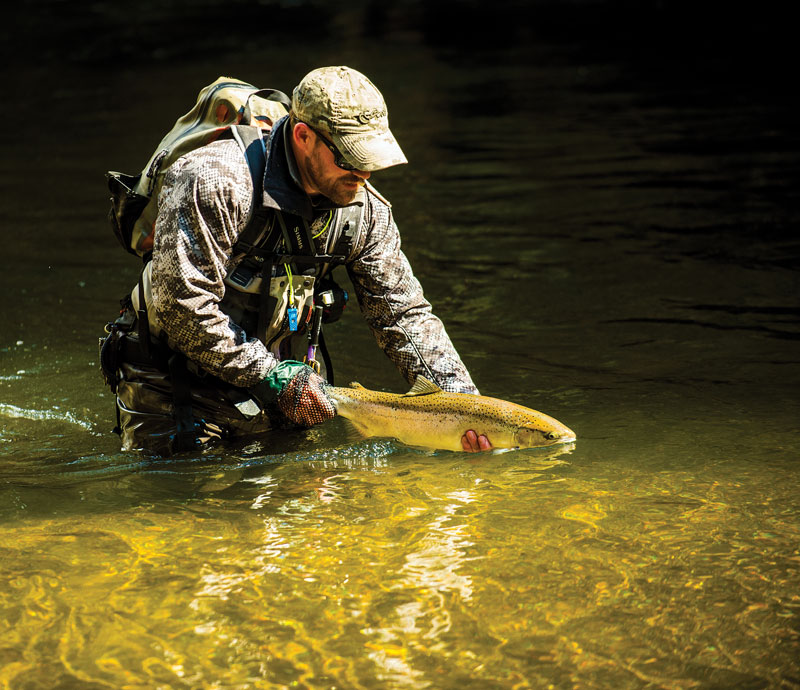 The most effective method to catch Alaska steelhead in small streams were spey rods and switch rods