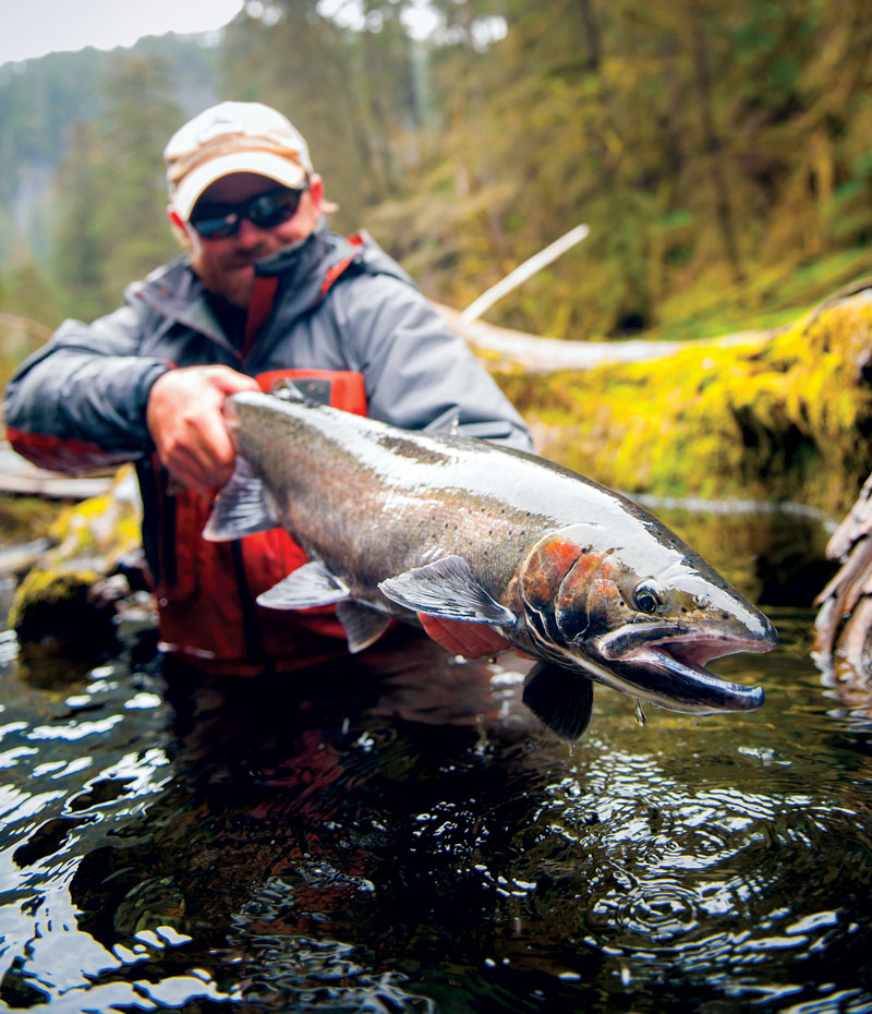Alaska steelhead