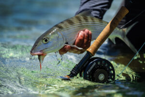 Taking a break from guided trips and setting out alone in search of some lesser-trodden bonefish flats in the Turks and Caicos
