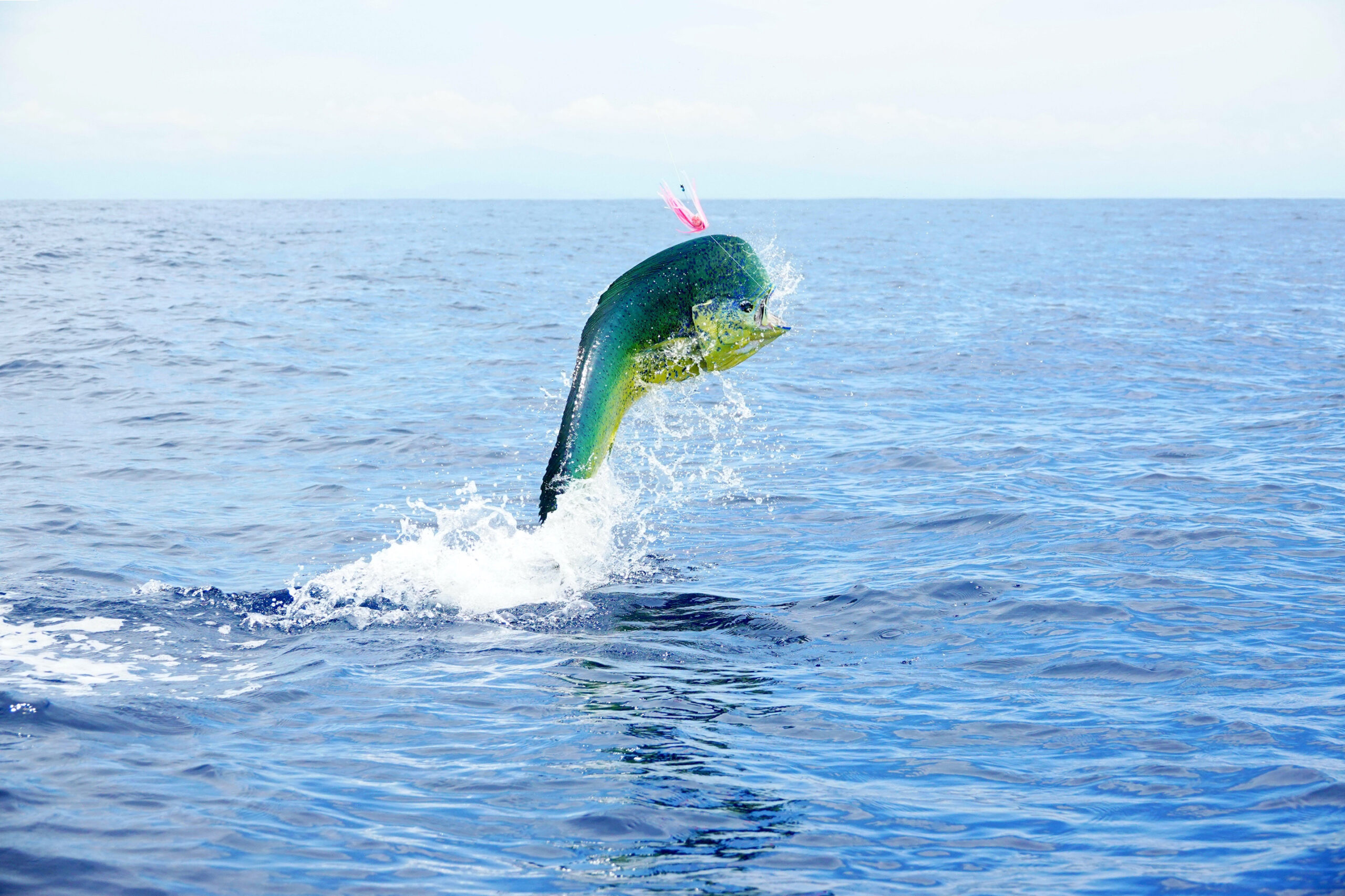 The bill will enhance recreation opportunities by investing in technology found in smartphone apps to provide information about offshore waters and federal saltwater fisheries.