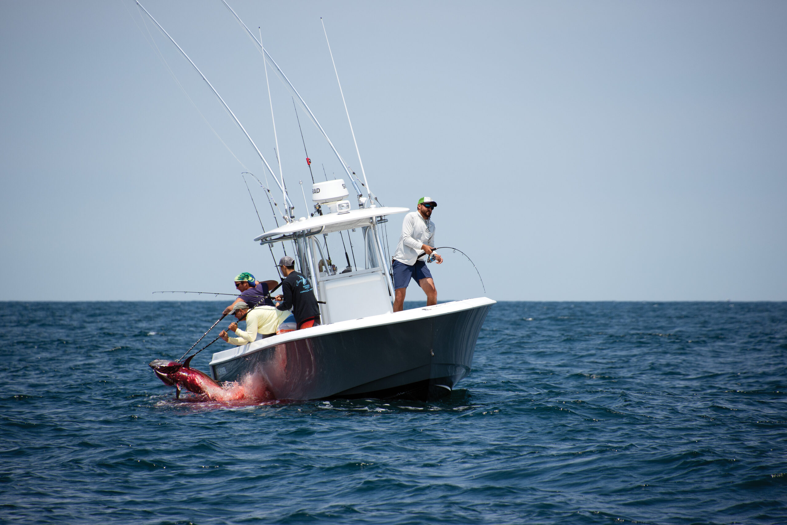 Bluefin tuna fishing off of Long Island, New York