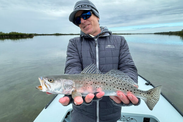 Mosquito Lagoon speckled seatrout