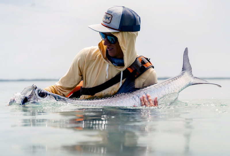 Catching tarpon on fly