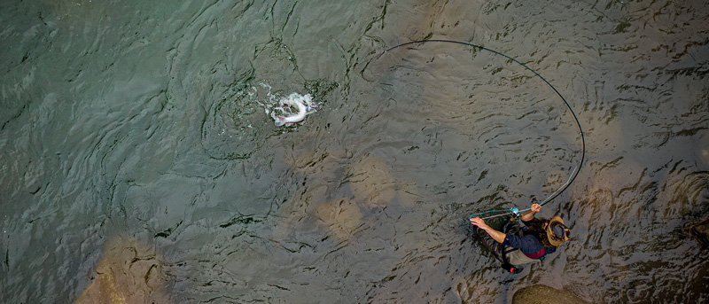 Catching trout on a fly rod