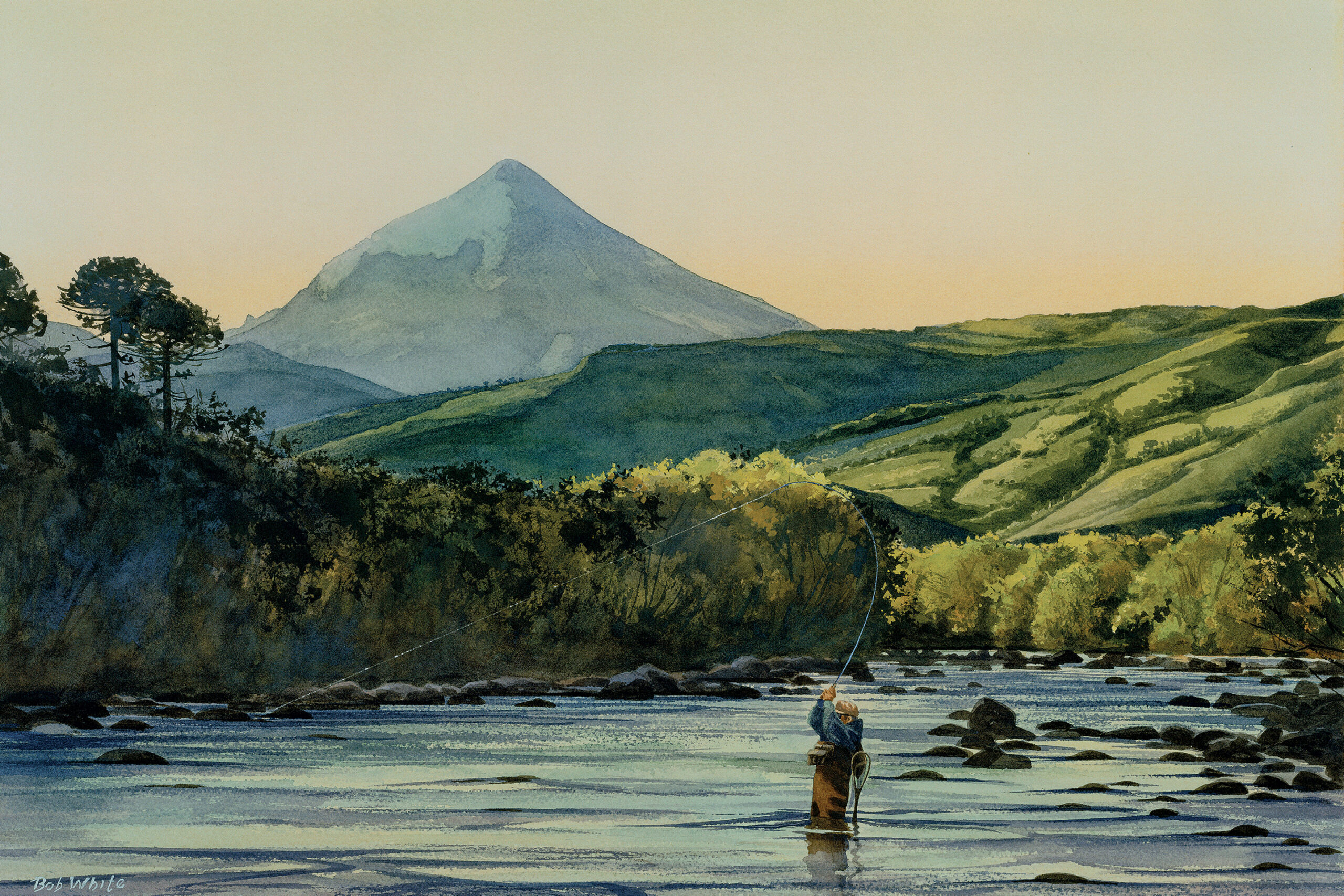 Fly-fishing art by Bob White
