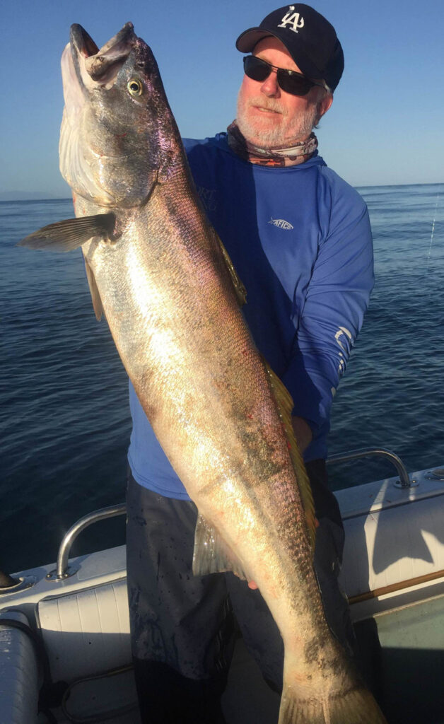 Jim Hendricks with one of his favorite West Coast species, the white sea bass.