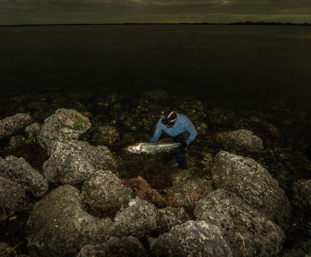 Catching Florida Tarpon from land