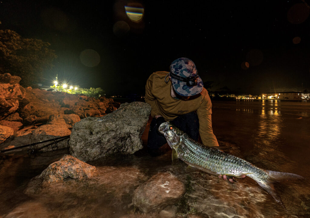 Florida Tarpon