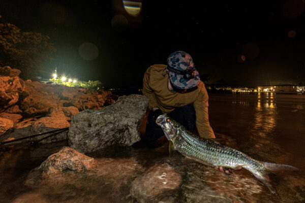 Florida Tarpon