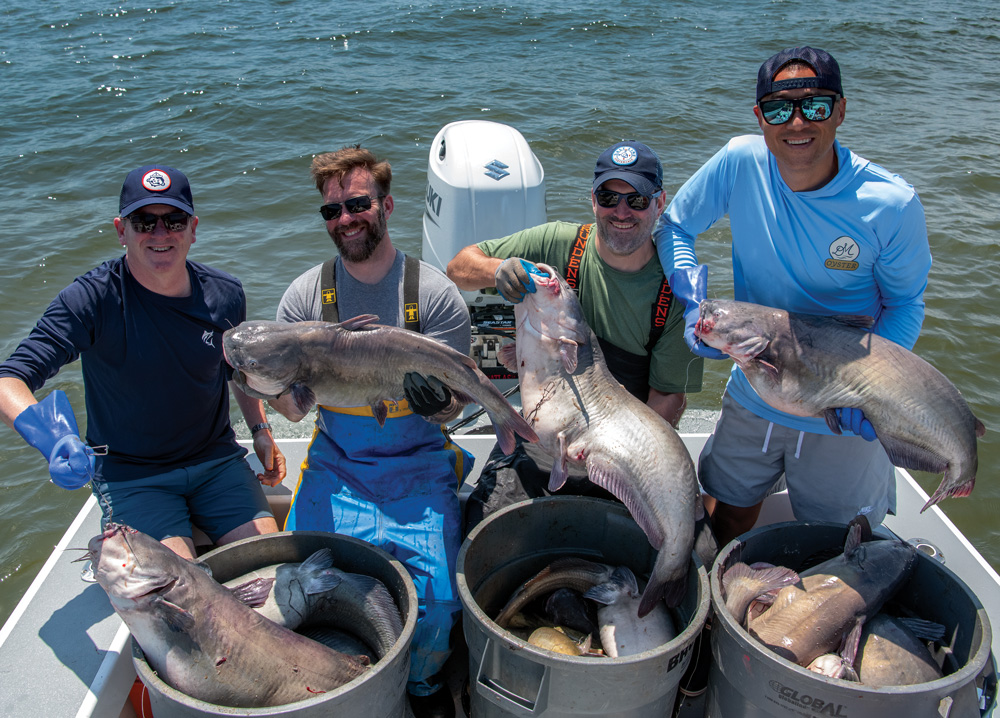 Catching blue catfish in Maryland