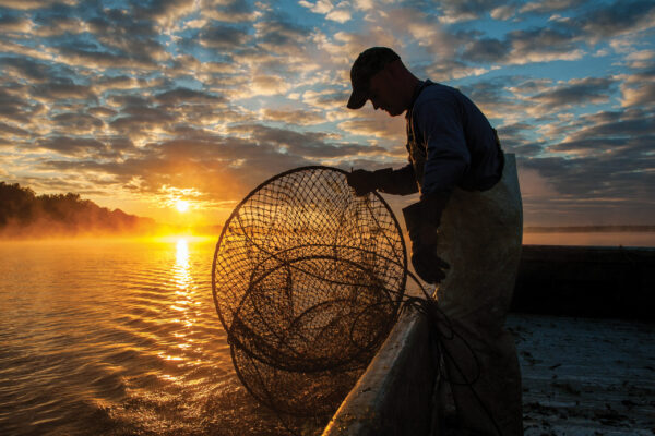 Chesapeake Bay Waterman
