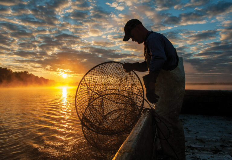 Chesapeake Bay Waterman