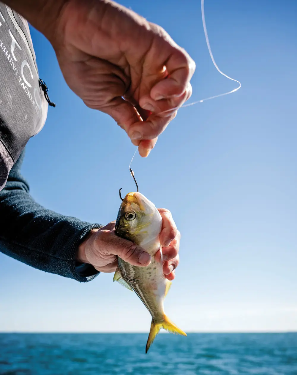 Fishing with live menhaden