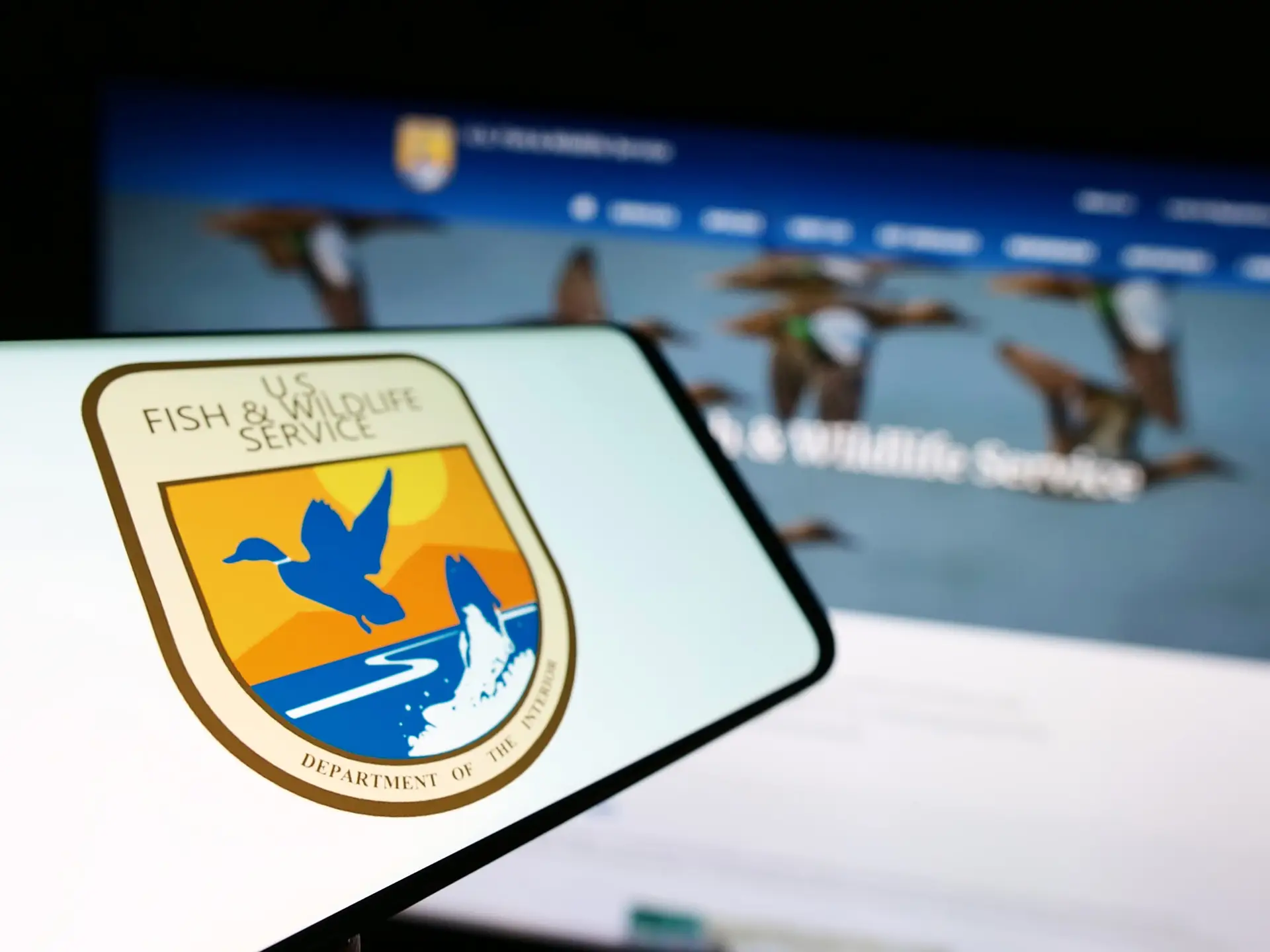 U.S. Fish and Wildlife Service