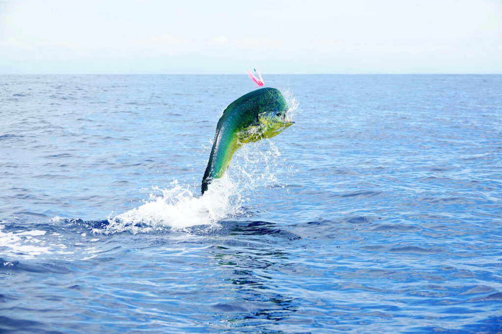 MAPOceans Act passes