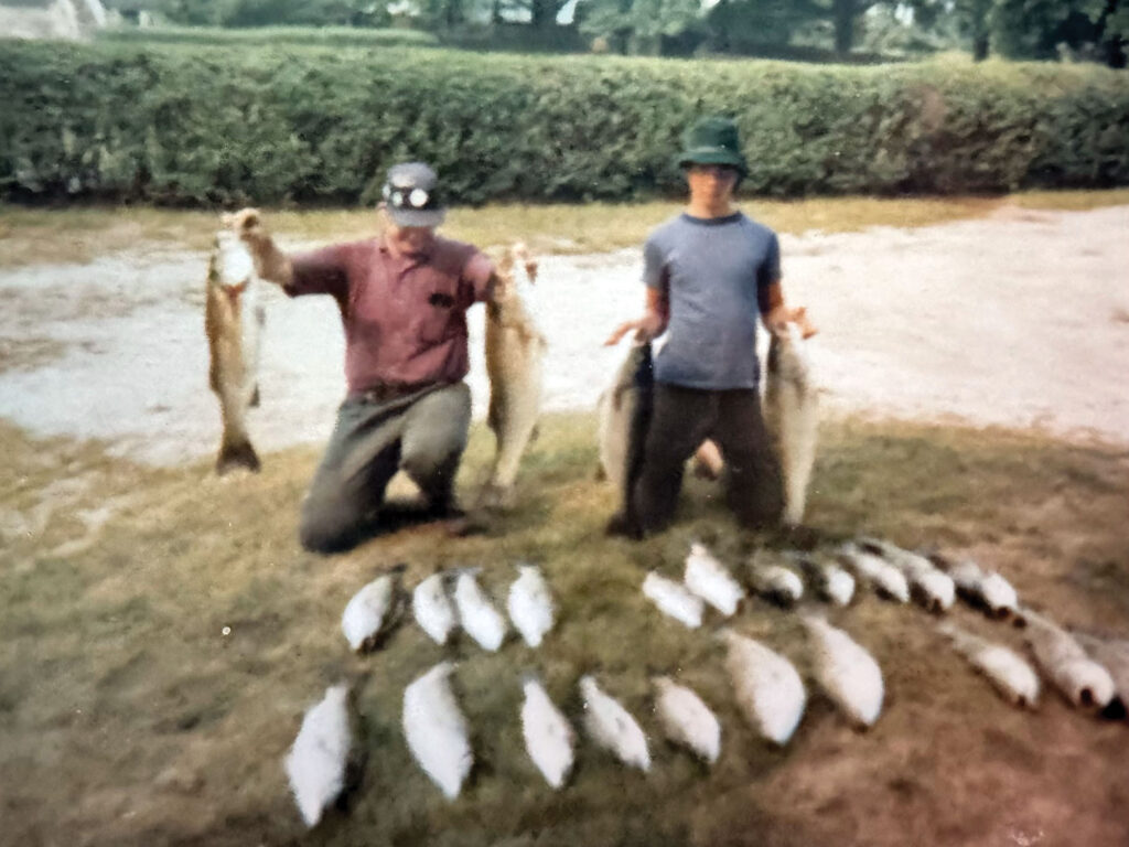 Many striped bass laid out on the lawn