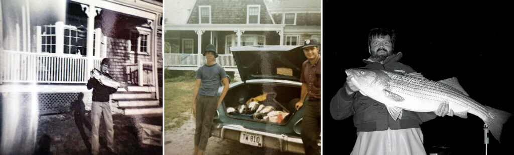 Collection of stripers that were caught