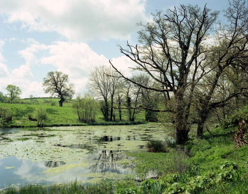 Spring__2009__179