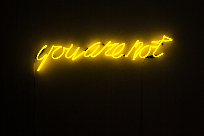 20140506171921-ruby_anemic__you_are_not__2014__neon_light__5_x_32_in__courtesy_of_ruby_anemic_and_de_buck_gallery